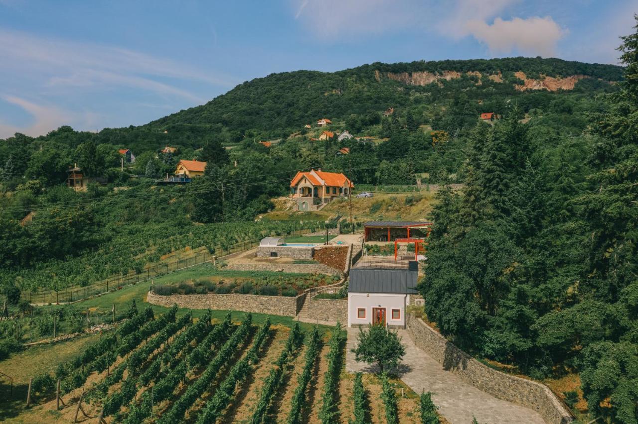 Villo Villa Badacsonytomaj Exterior foto