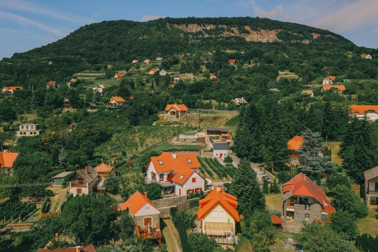 Villo Villa Badacsonytomaj Exterior foto